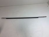 Rear door glass trim molding