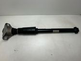 Rear shock absorber/damper
