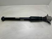 Rear shock absorber/damper