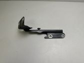 Tailgate/trunk/boot hinge