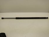 Tailgate/trunk strut/damper