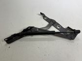 Tailgate/trunk/boot hinge