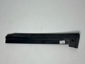 Front door glass trim molding