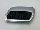 Ziergitter Motorhaube