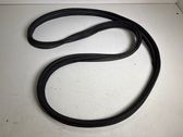 Front door rubber seal