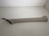 (A) pillar trim