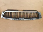 Front bumper upper radiator grill