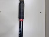Rear shock absorber/damper