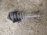 Front shock absorber with coil spring