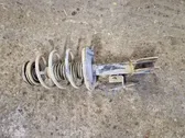 Front shock absorber with coil spring