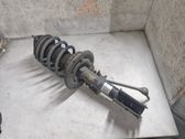 Front shock absorber with coil spring