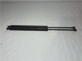 Tailgate/trunk/boot lid buffer