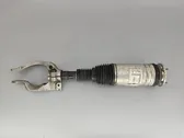 Front shock absorber/damper
