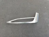 Front fog light trim/grill