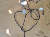 Rear door wiring loom