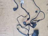 Front door wiring loom