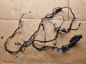 Front door wiring loom