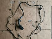 Front door wiring loom
