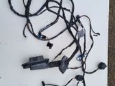 Rear door wiring loom