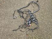 Engine installation wiring loom
