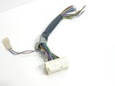 Other wiring loom