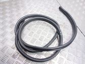 Front door rubber seal