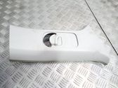 (B) pillar trim (top)