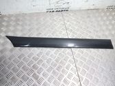 Rear door trim (molding)