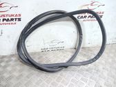 Rear door rubber seal (on body)