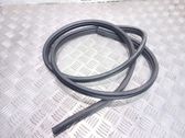 Front door rubber seal