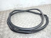 Front door rubber seal