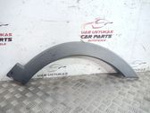 Fender trim (molding)