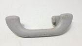 Rear interior roof grab handle