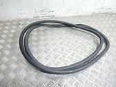 Rear door rubber seal (on body)