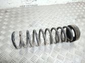 Rear coil spring