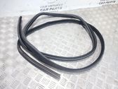 Front door rubber seal