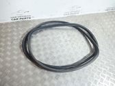 Trunk rubber seal (body)