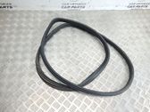 Front door rubber seal