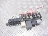 Fuse module