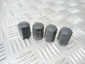 Wheel nut cap/cover