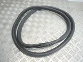 Rear door rubber seal (on body)