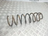 Rear coil spring