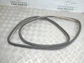 Rear door rubber seal (on body)