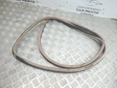 Rear door rubber seal (on body)