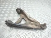 Front lower control arm/wishbone