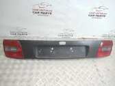 Trunk door license plate light bar