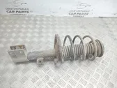 Front shock absorber/damper