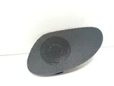 Front door high frequency speaker