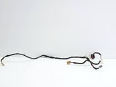 Rear door wiring loom