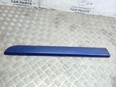 Listón embellecedor de la puerta delantera (moldura)